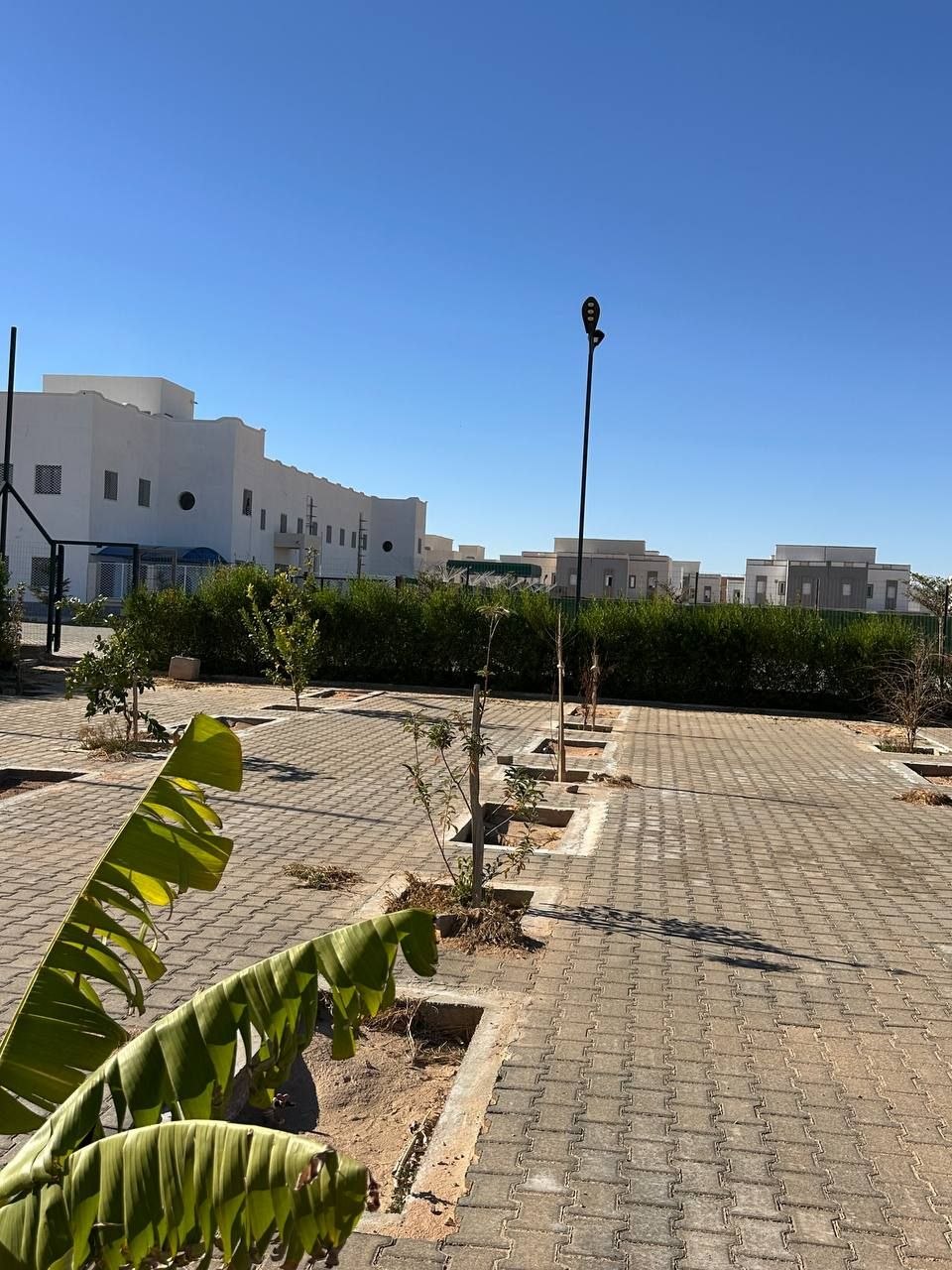 مدخل المدرسة